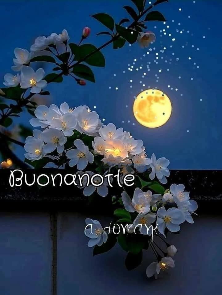 immagini buongiorno gratis per buonanotte