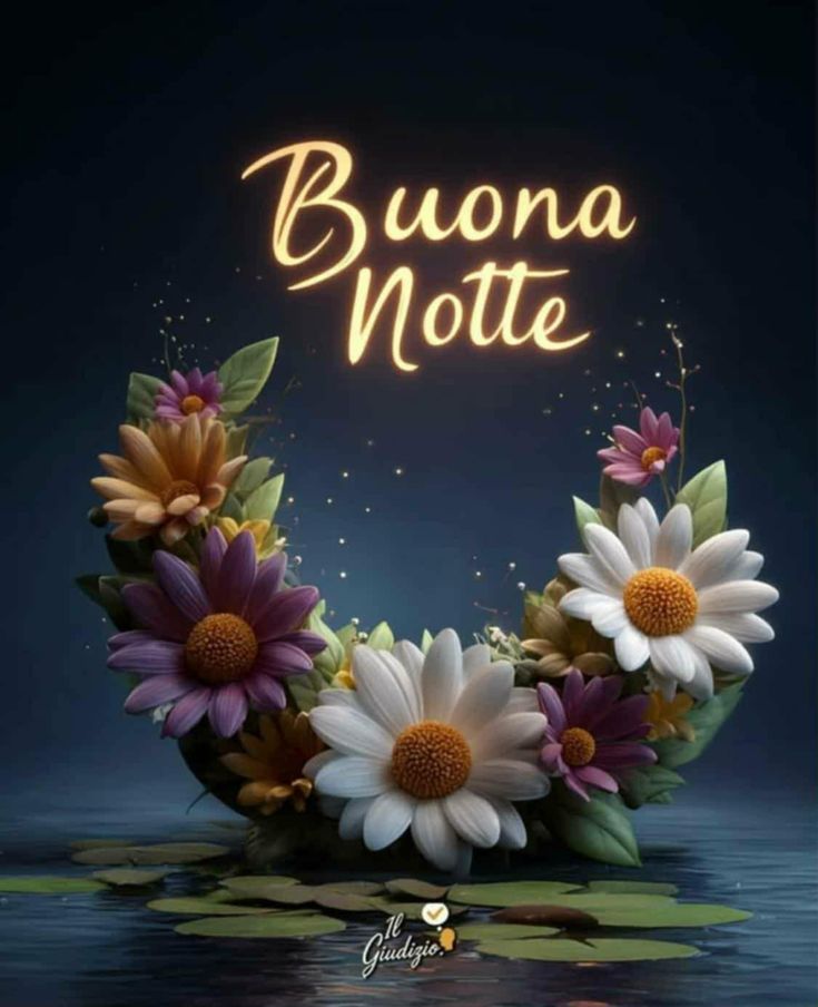 bellissimi buona notte link buonanotte