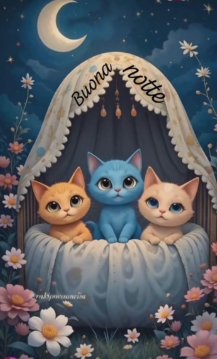 buona serata e buonanotte immagini nuove buona serata e buonanotte immagini nuove