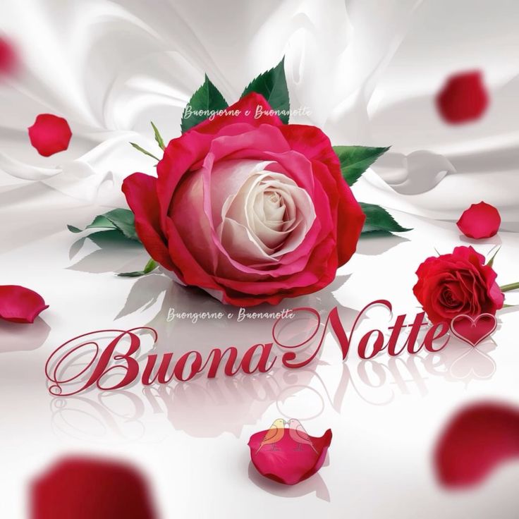 buonanotte