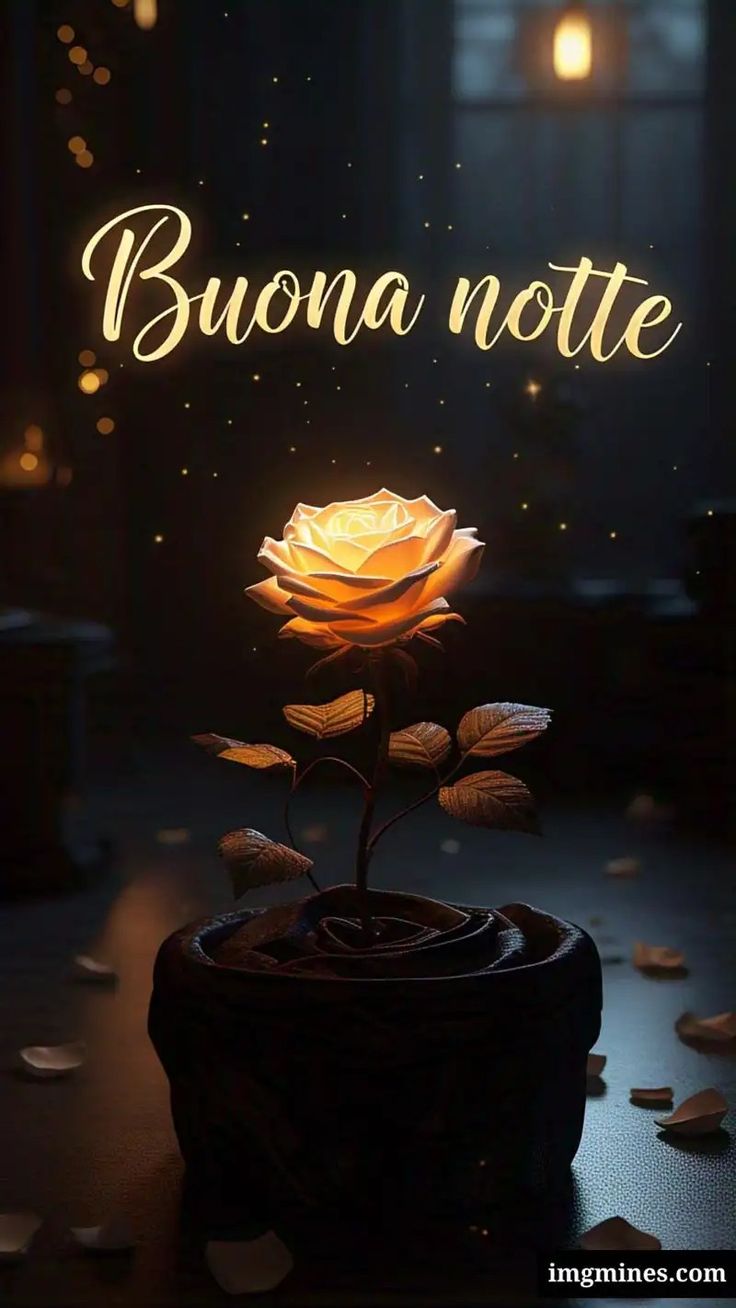 buonanotte a domani buona serata