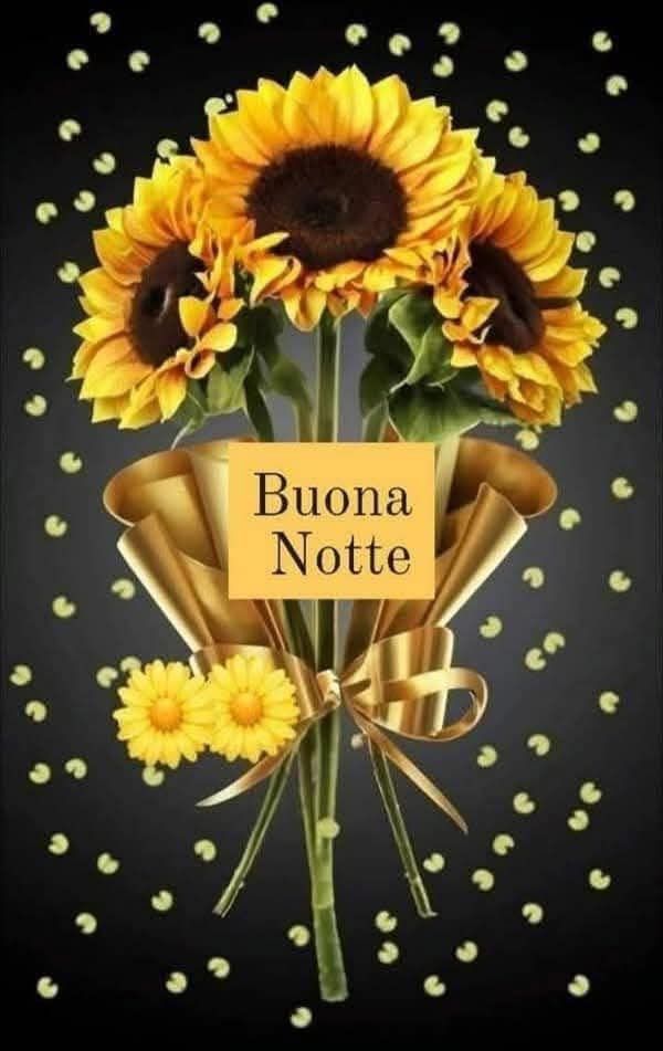 buonanotte a domani ragazze buonanotte a domani ragazze