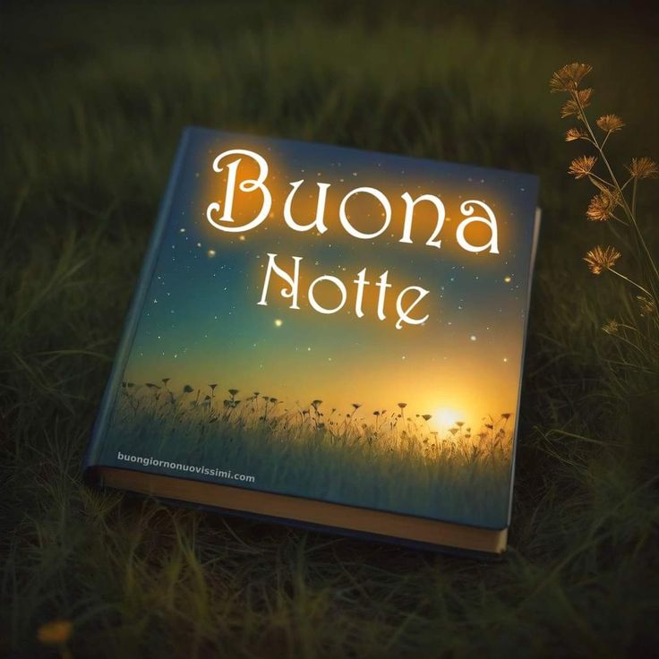 buonanotte a domani vecchiette simpatiche