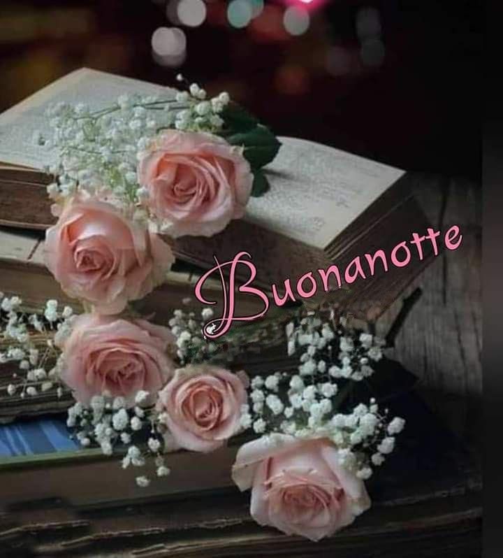 buonanotte amore mio