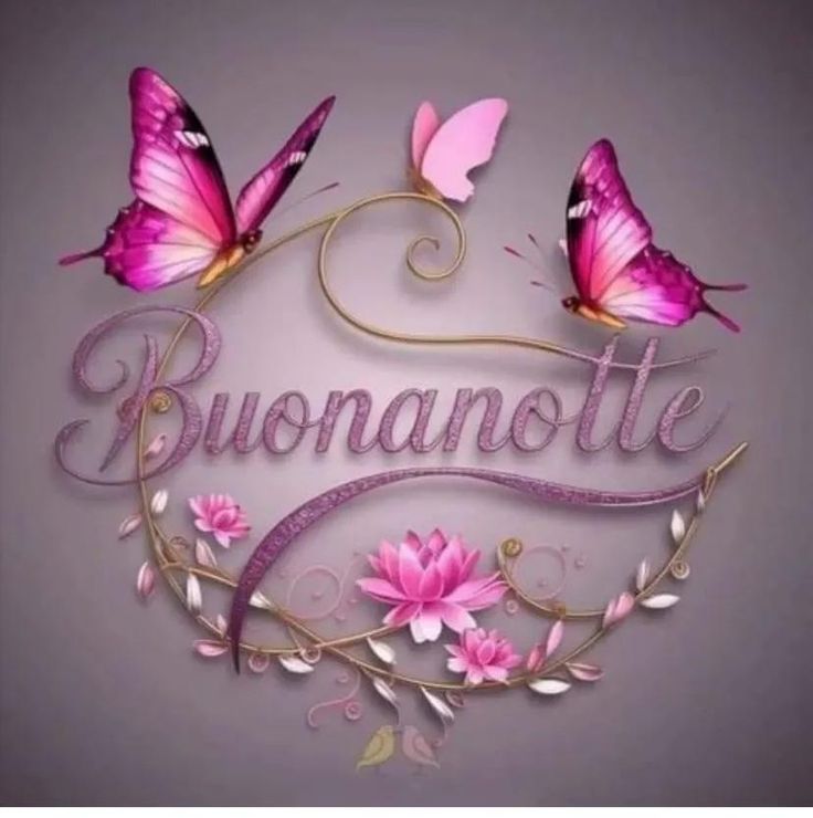 buonanotte belle immagini su pinterest