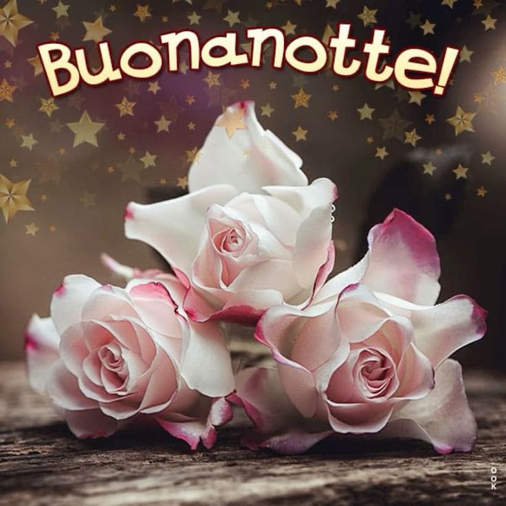 buonanotte bellissimi fiori