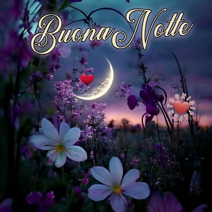 buonanotte con affetto immagini belle whatsapp buonanotte