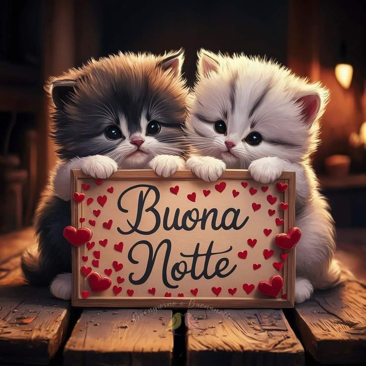 buonanotte con yoyo