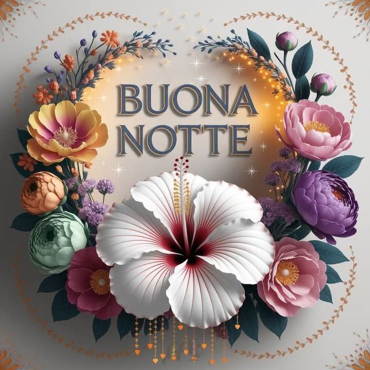 buonanotte con yoyo buonanotte con yoyo