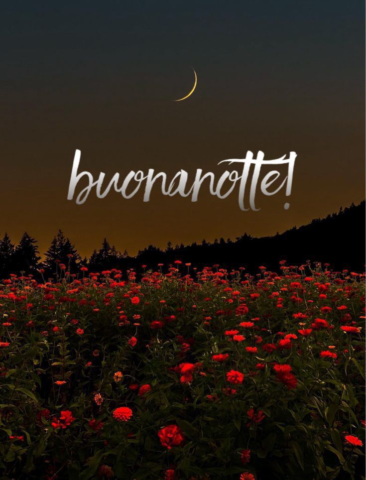 buonanotte da youtubo buonanotte da youtubo