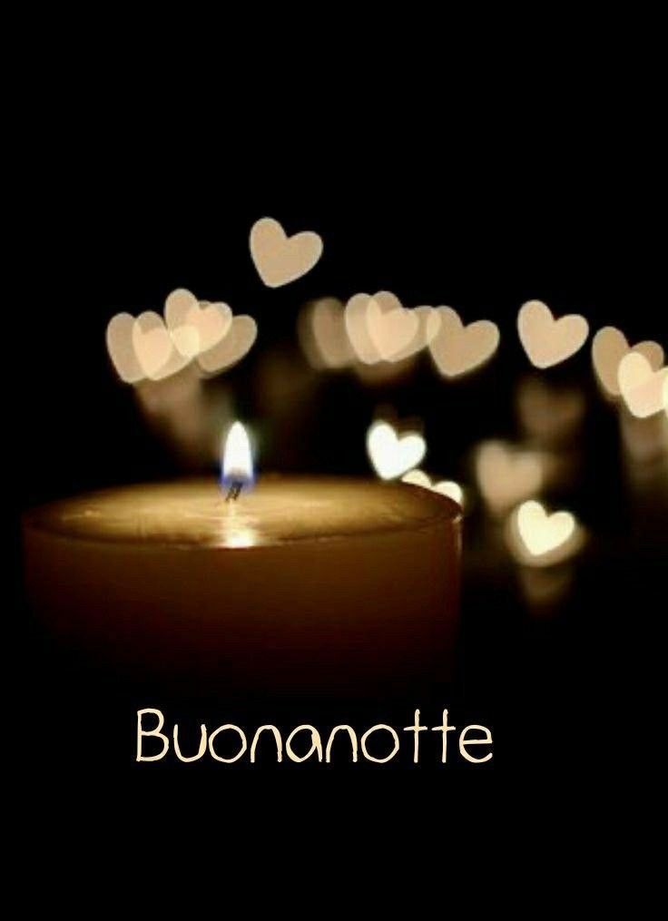 buonanotte estiva gif