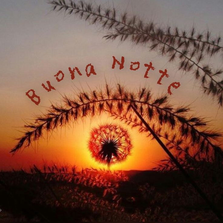 buonanotte estiva piovosa