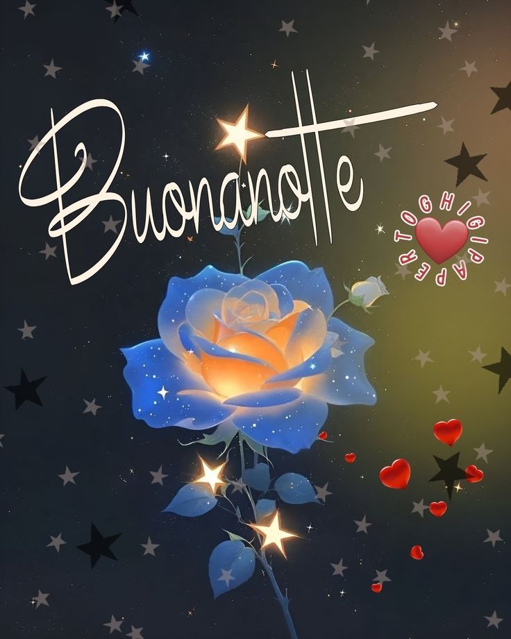 buonanotte immagini carine