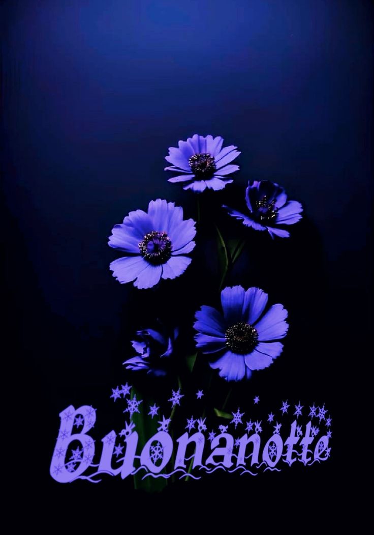 buonanotte immagini paesaggi