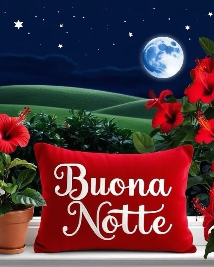 buonanotte immagini poetiche
