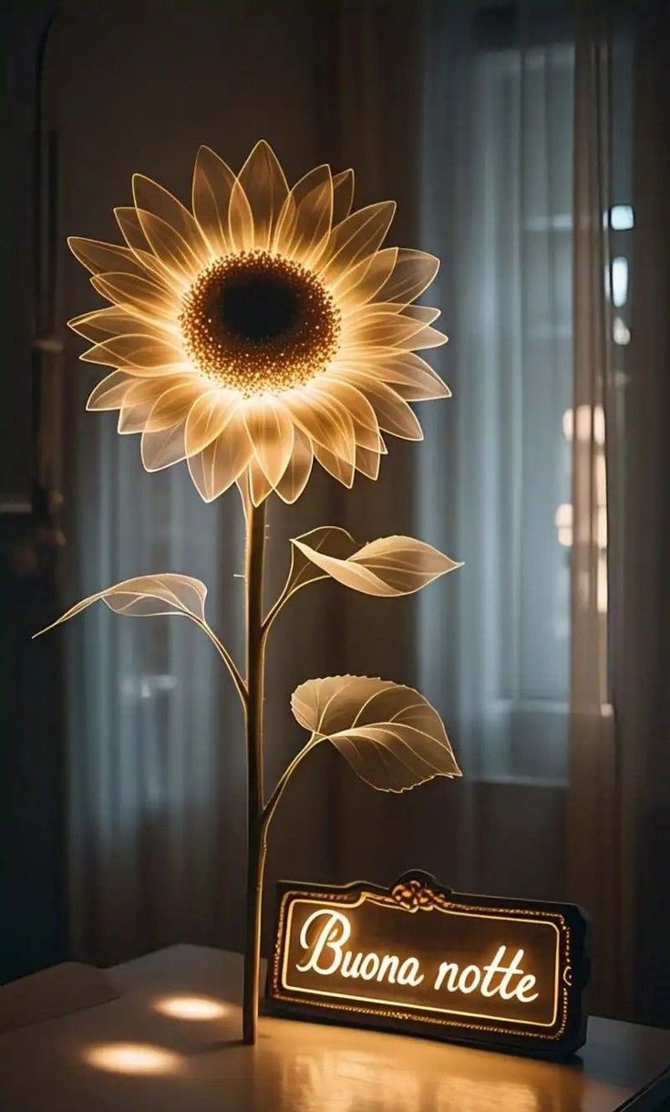buonanotte immagini tenere