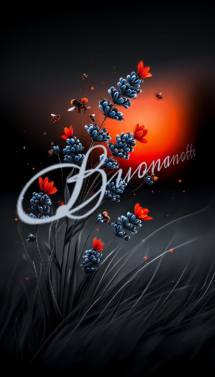 buonanotte immagini video gif gratis per whatsapp