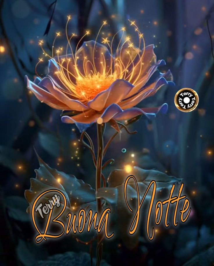 buonanotte johnny buonanotte johnny