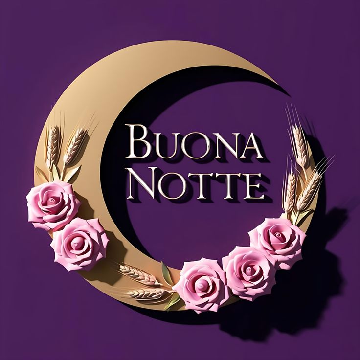 buonanotte speciale nuovissimo buonanotte immagini recenti