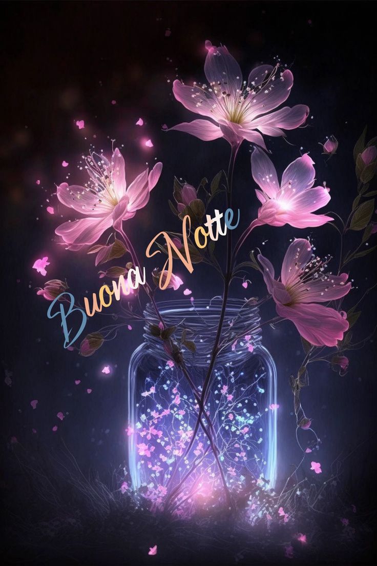 buonanotte toghigi paper meraviglioso buona notte immagini belle
