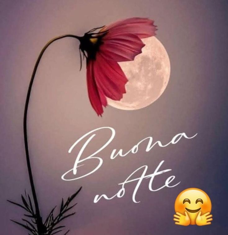 buonanotte tutti insieme appassionatamente