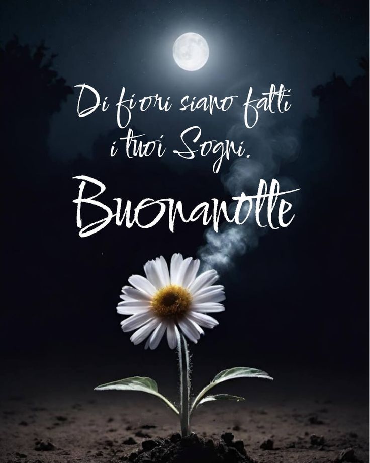 buonanotte umoristica immagini