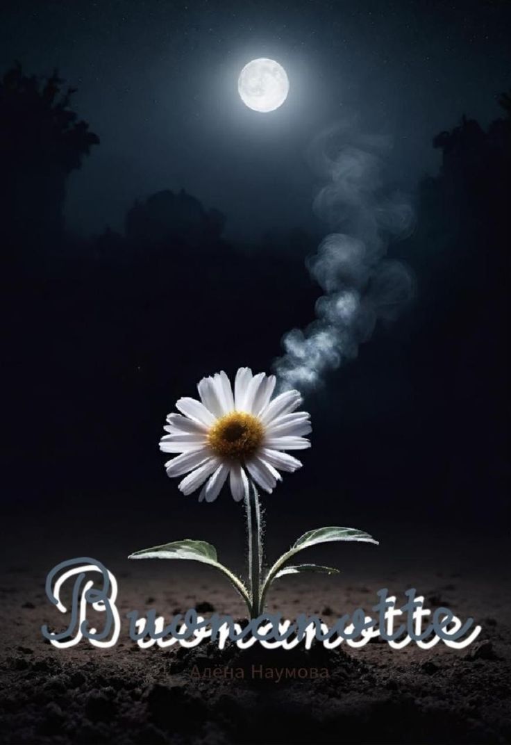 buonanotte zoo
