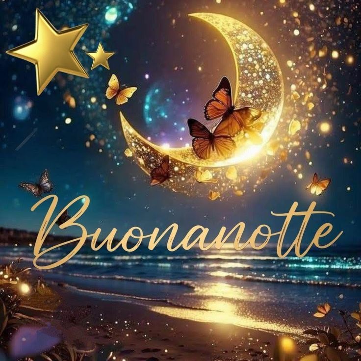 buonanotte zoo