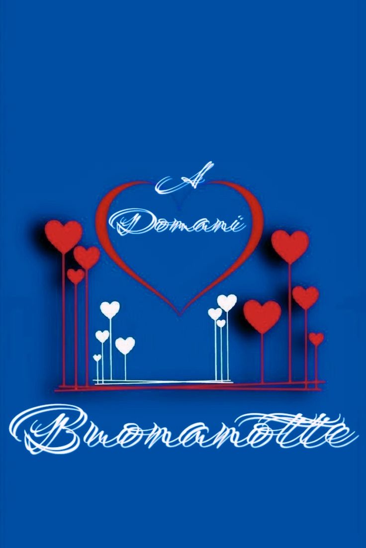 buonanotte zoo