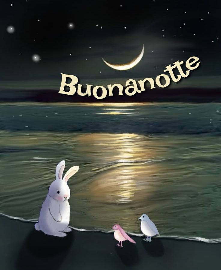 favole di buonanotte