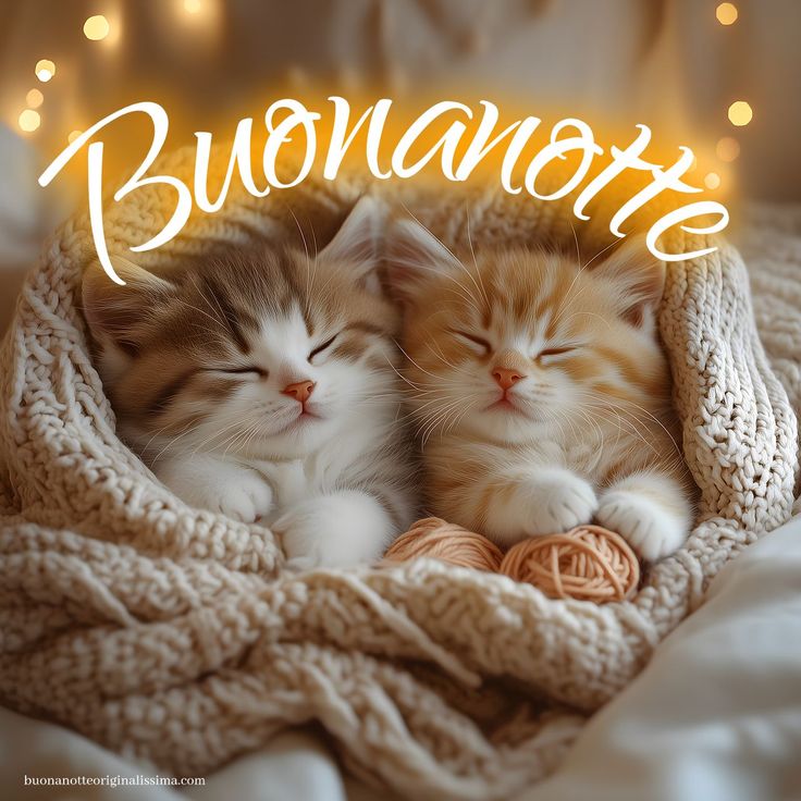 frasi immagini buonanotte belle gratis per whatsapp web