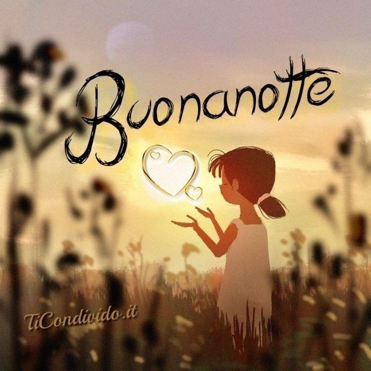 google buonanotte immagini