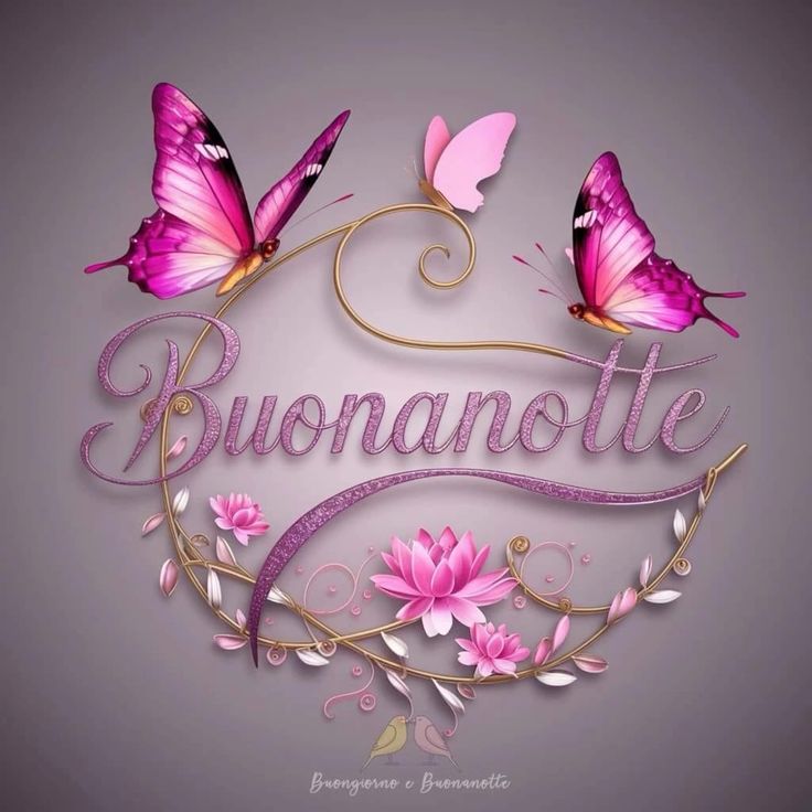 heidi buonanotte immagini nuove