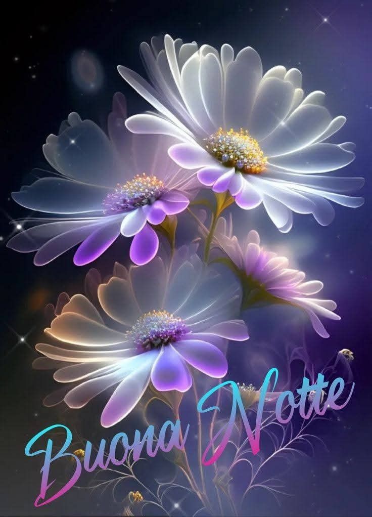 il girasole buonanotte immagini nuove