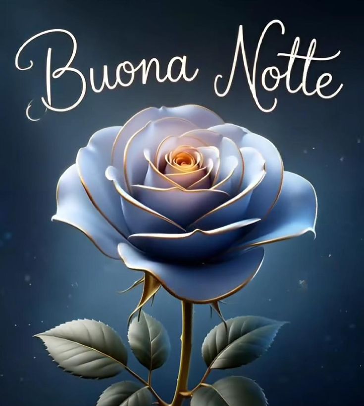 immagini buonanotte belle nuove e divertenti gratis