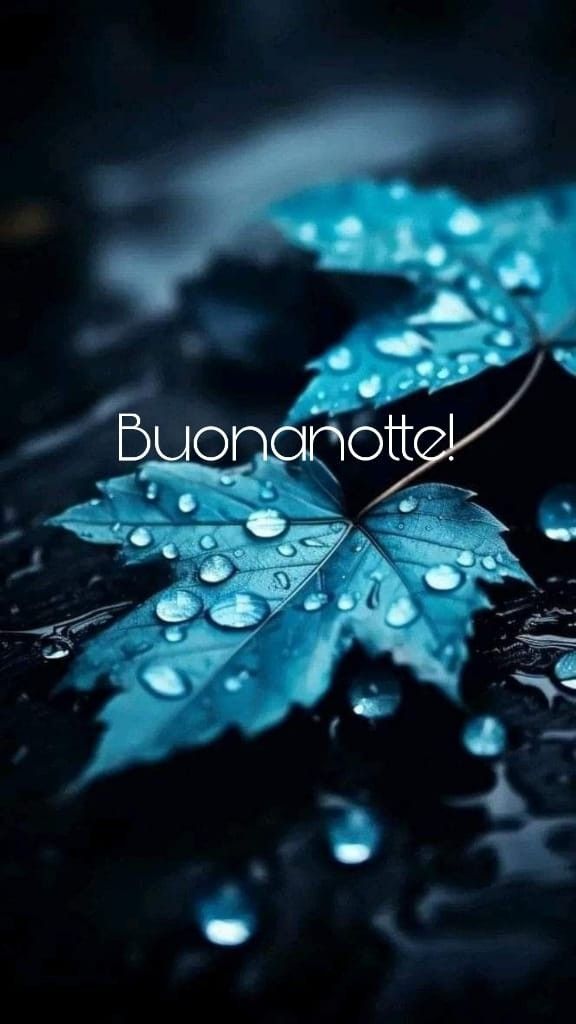 immagini della buonanotte