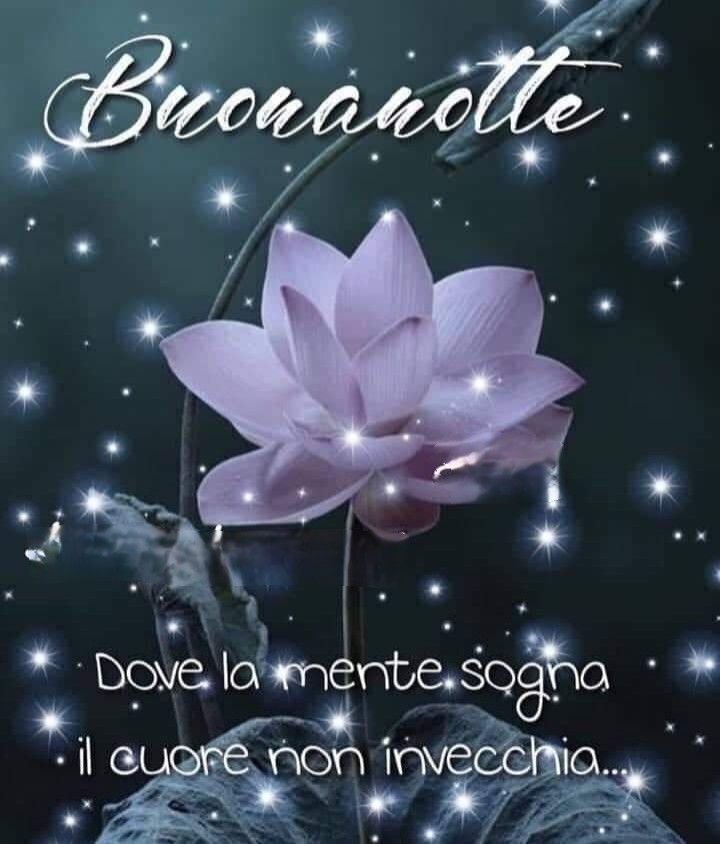 immagini di buonanotte bellissimi