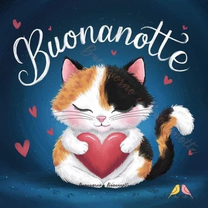 la buonanotte la buonanotte