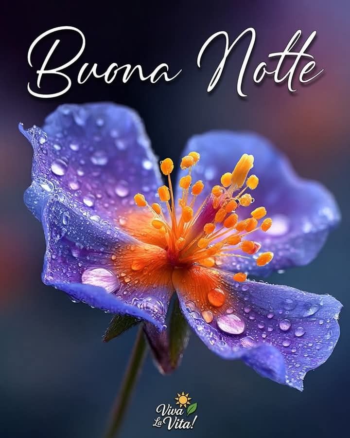 nuovissimo buonanotte immagini recenti
