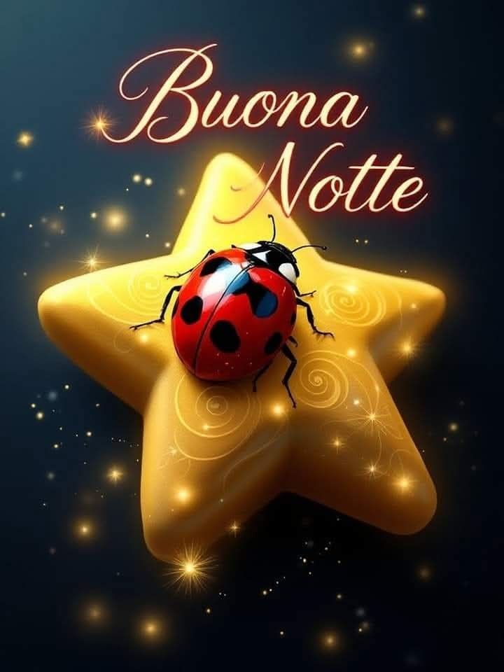 pinterest buonanotte a domani foto bellissime