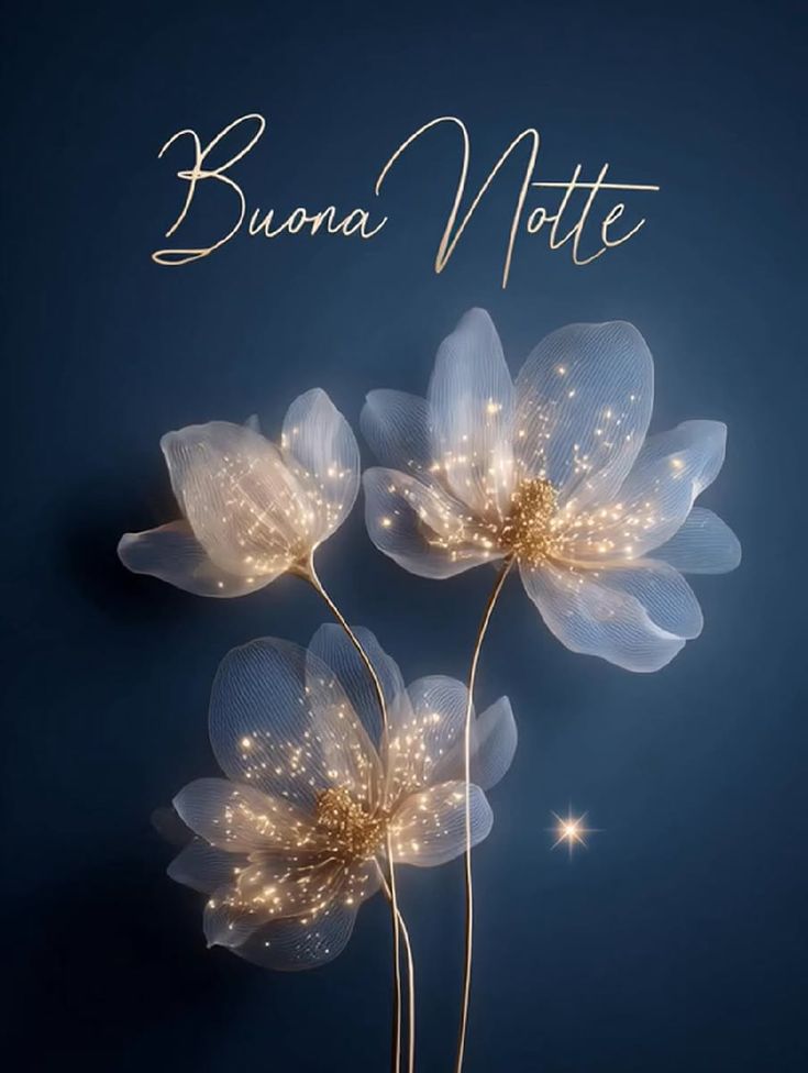 pinterest buonanotte immagini recenti