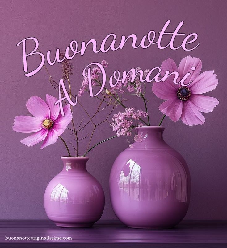 solerosa buonanotte immagini solerosa buonanotte immagini