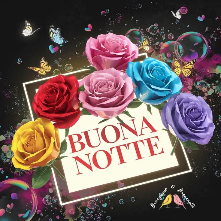 terry buonanotte immagini