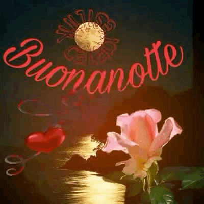 tik tok nuovissimo buonanotte immagini recenti