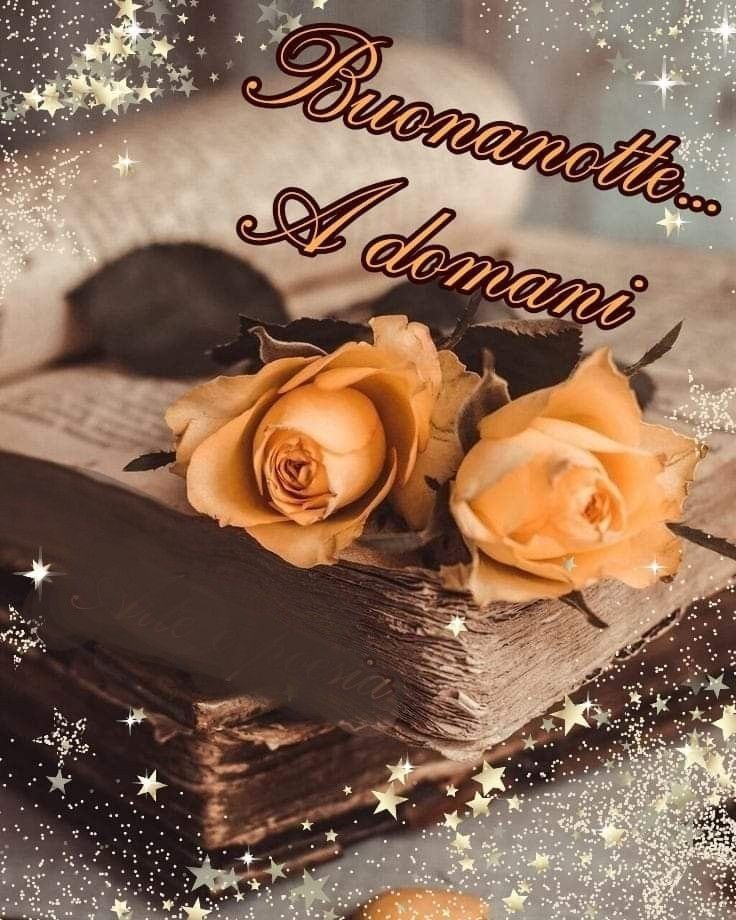 una bellissima buonanotte estiva