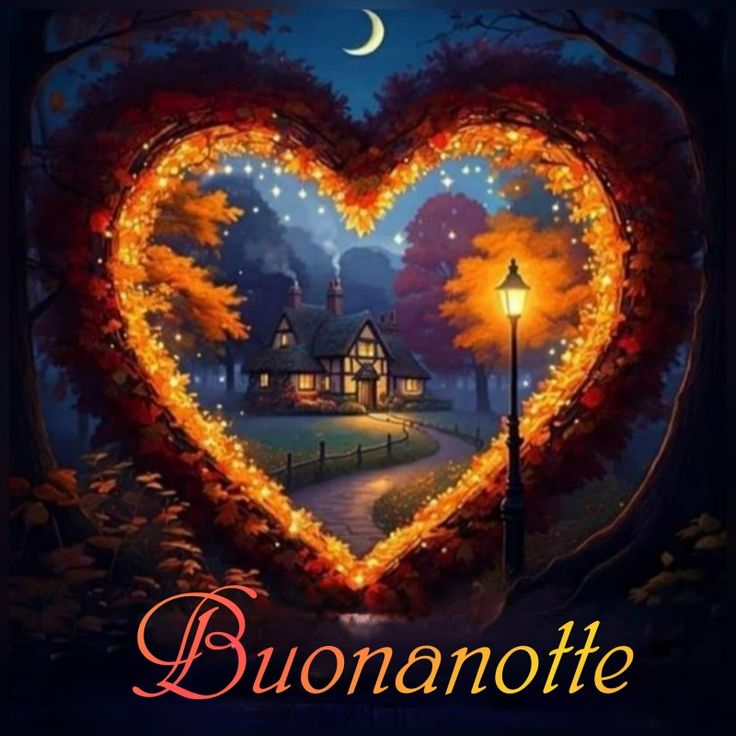 video buonanotte whatsapp