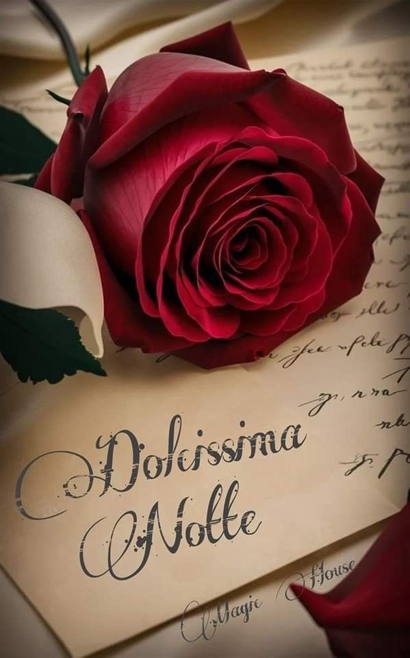 whatsapp nuovissimo originale nuovissimo buonanotte immagini recenti