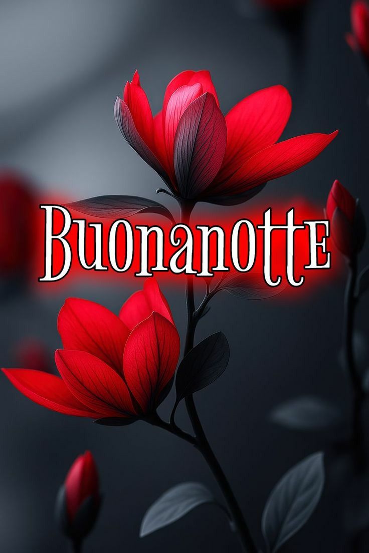 youtube immagini buonanotte